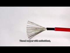 Le C.C a évalué le fil de qualité isolé par double rouge noir du câble 4mm2 de picovolte de panneau solaire